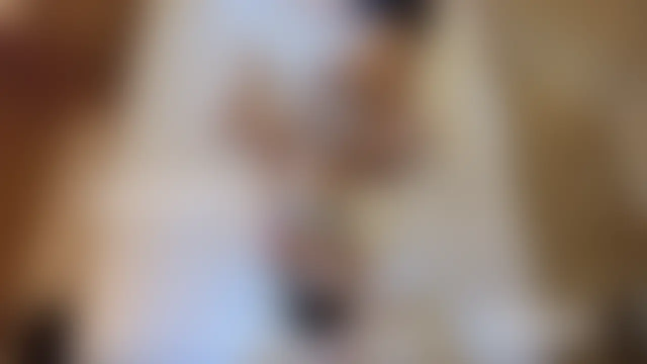 エッチな人妻とのハメ撮り動画です (2/2)