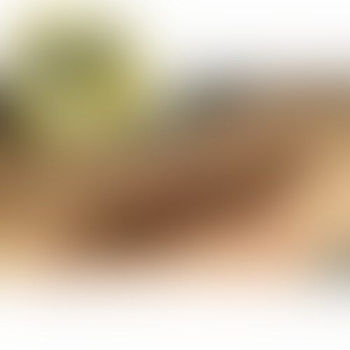 2/2 sample 1