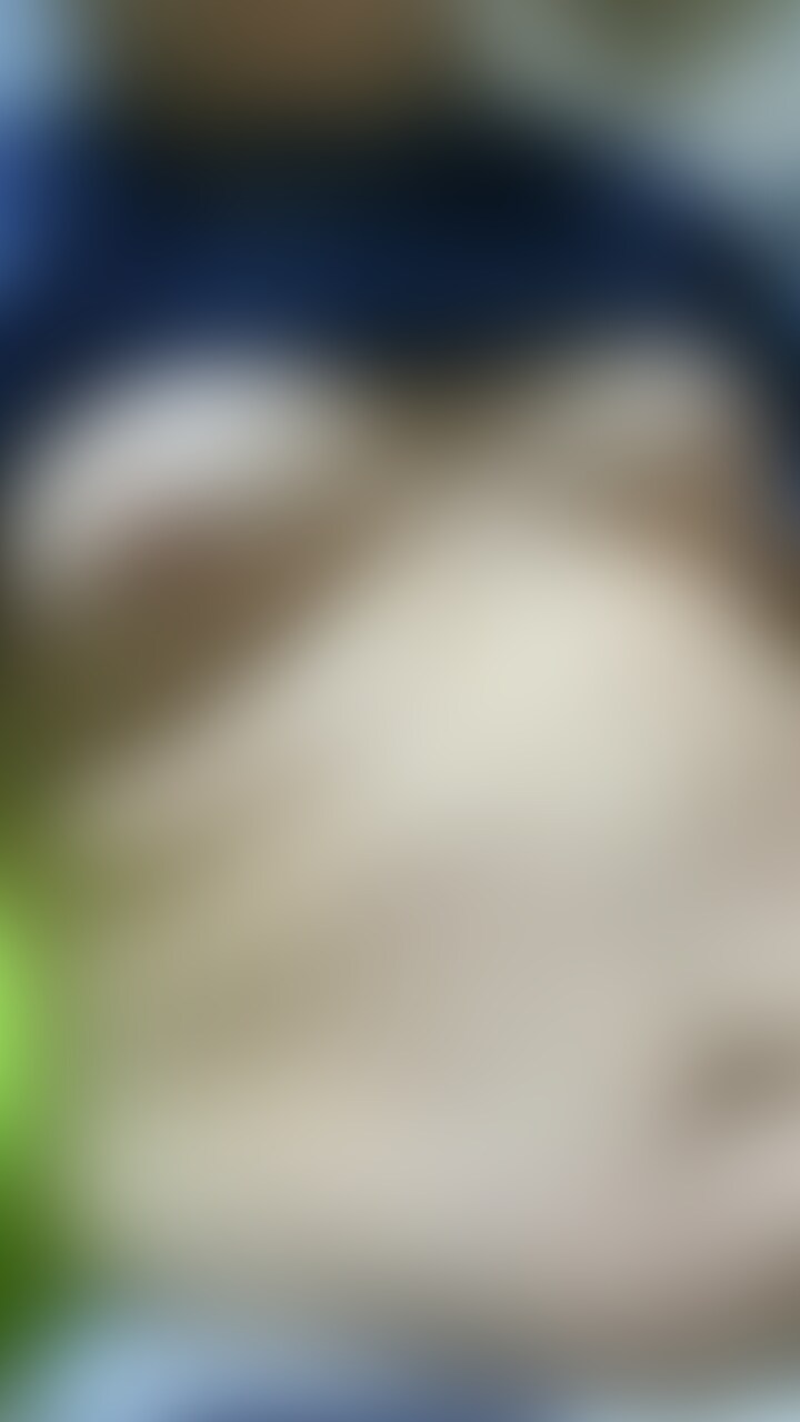 2年前の写真出てきたw sample 1