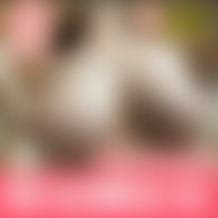 ニットの巨乳揉み、電マ大好きなかにちゃんがエロエロにイっちゃてます笑、電マを当てながら生挿入が大好物らしいですよ。
手持ちカメラシーンもあるので巨乳揺れの臨場感も最高です。
最後はおまんこに大量に精子を出してやりました!
20分越えの必見のエッチです。
パイパンから剛毛なまんこに変貌をとげた新しいかに🦀ちゃんをみてください。えろえろです。 (2/2)