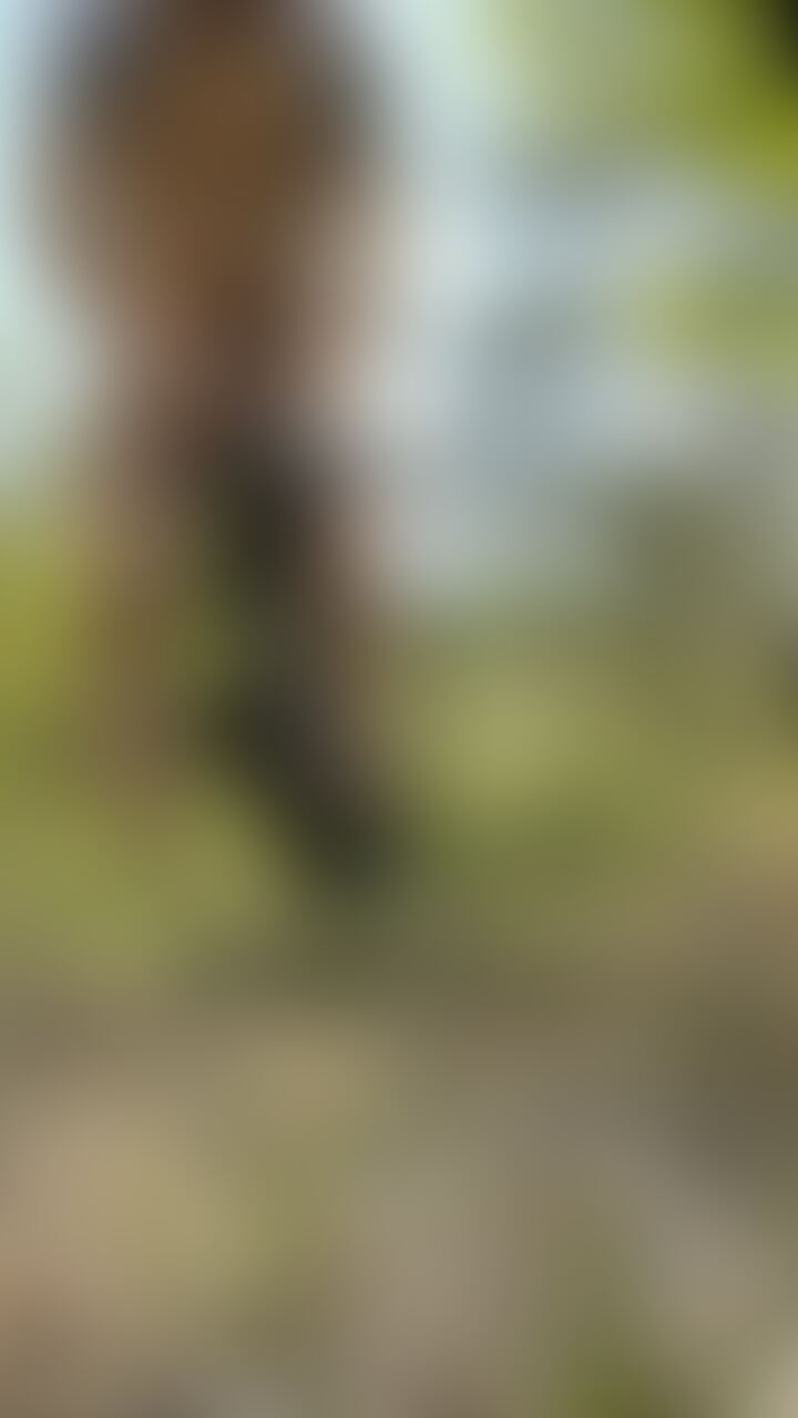 👤森の中 sample 5