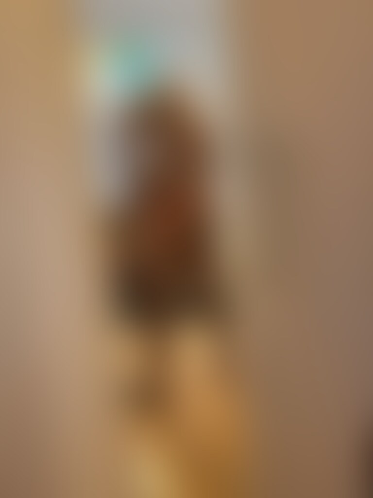 夏の暑さに負けて、動画更新が遅れました。 sample 1