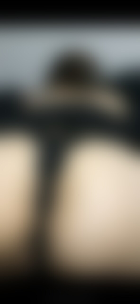 ガチエロセクシー人妻。
生々しいから単品で。
胸がめっちゃエロいし、黒のTバックは興奮しかない。
フェラ中の顔がめっちゃエロいし、後半の蔑むようにフェラされながら「変態」って言われた時の見返してたびたび勃起する。
チンチン舐めながらオッパイ触られてめちゃくちゃ興奮してるの感じで、我慢できなくてめちゃくちゃにしたくなった。 (2/2)