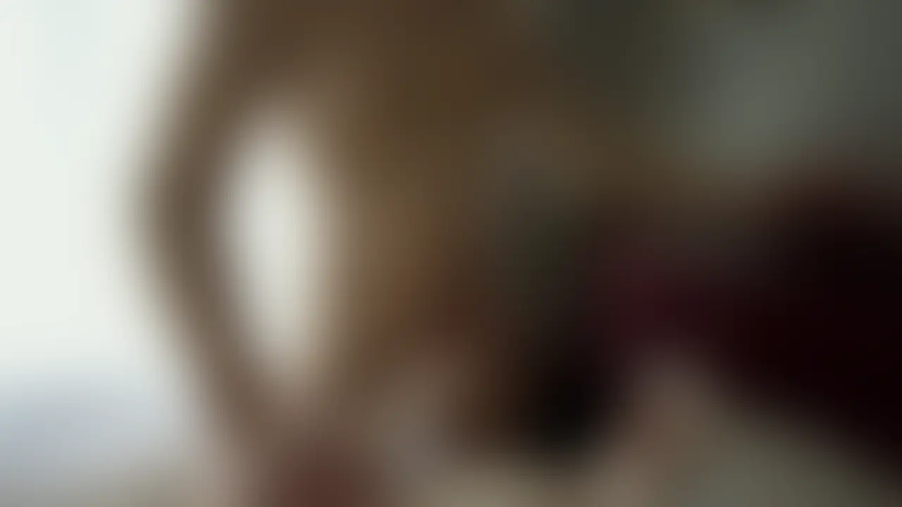 Playback_No6_01 (2/2)