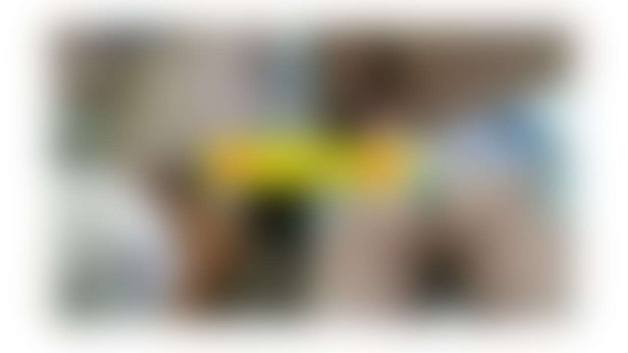 【当方の動画コンセプトは余計なものは写さないで、男の肌の露出は極力控えております。なので女性の身体に集中できるよう作られています】
どこにでもいる30歳の普通の主婦との変態行為の日常が綴られています。
お世話になっております、稲妻マスクです‼
幼稚園が長期の休みに入り、○○○たちが別のお友達の家に遊びに行ったので余裕をもってママ友さんとハメ撮りすることができました。
今回はママ友さんの家に今まで使ったことのないアダルトグッズを持ち込み、いろいろ試してみようと思っていました。
そこで今回の撮影で使ったのは、「ピンクローター」と「ニップルクリップ」です。
どちらも未経験のママ友さんですが、恥ずかしながらも興味津々でした(笑)
ピンクローターでマ〇コの外側から責めていき、中にしばらく入れて抜いてみるとネバーッとどこまでも糸引くマン汁が放出しております。
最終的には自分でローターをクリに当て、私が指マンで同時に刺激する感じでした。
ニップルクリップは少し痛かったようで、しばらく付けていましたが、途中からはずしていたようです・・・
プレイ内容は、服を脱ぐシーン~乳首いじり~ローター責め~正常位~騎乗位(何度か繰り返し)~松葉崩し~ロールスロイス(背面座位)~バックでフィニッシュといった感じです。
今回の作品は、比較的様々なプレイが凝縮してありますので、今までの作品で最長の約30分程になりました。
個人的には今まで出した作品の中で最高の出来だと思いますので、是非ママ友さんの生理明けで欲求が爆発した30歳、主婦のリアルな性をご覧になってみてください‼ (2/2)