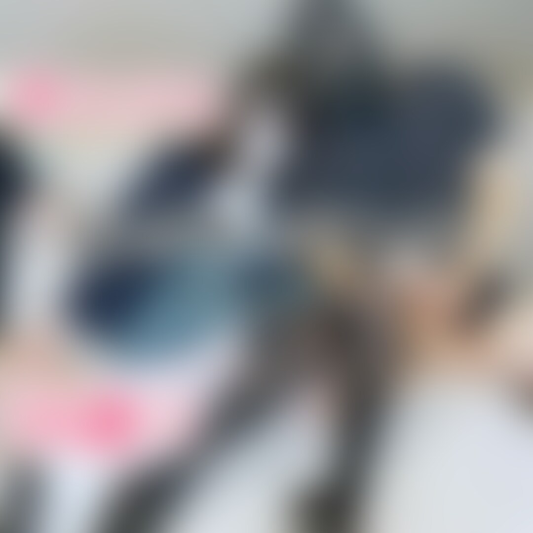 コレクターズNo.77 現〇○○○ちゃん青チェックの最新作です!
最新作とは言いますが、、、実はこの作品は現〇○○○ちゃんが正真正銘、本当に初めて撮影に参加した初日の一番最初の撮影なんです!!!雰囲気からその「初めて感」が伝わるのでは??☺️ (2/2)