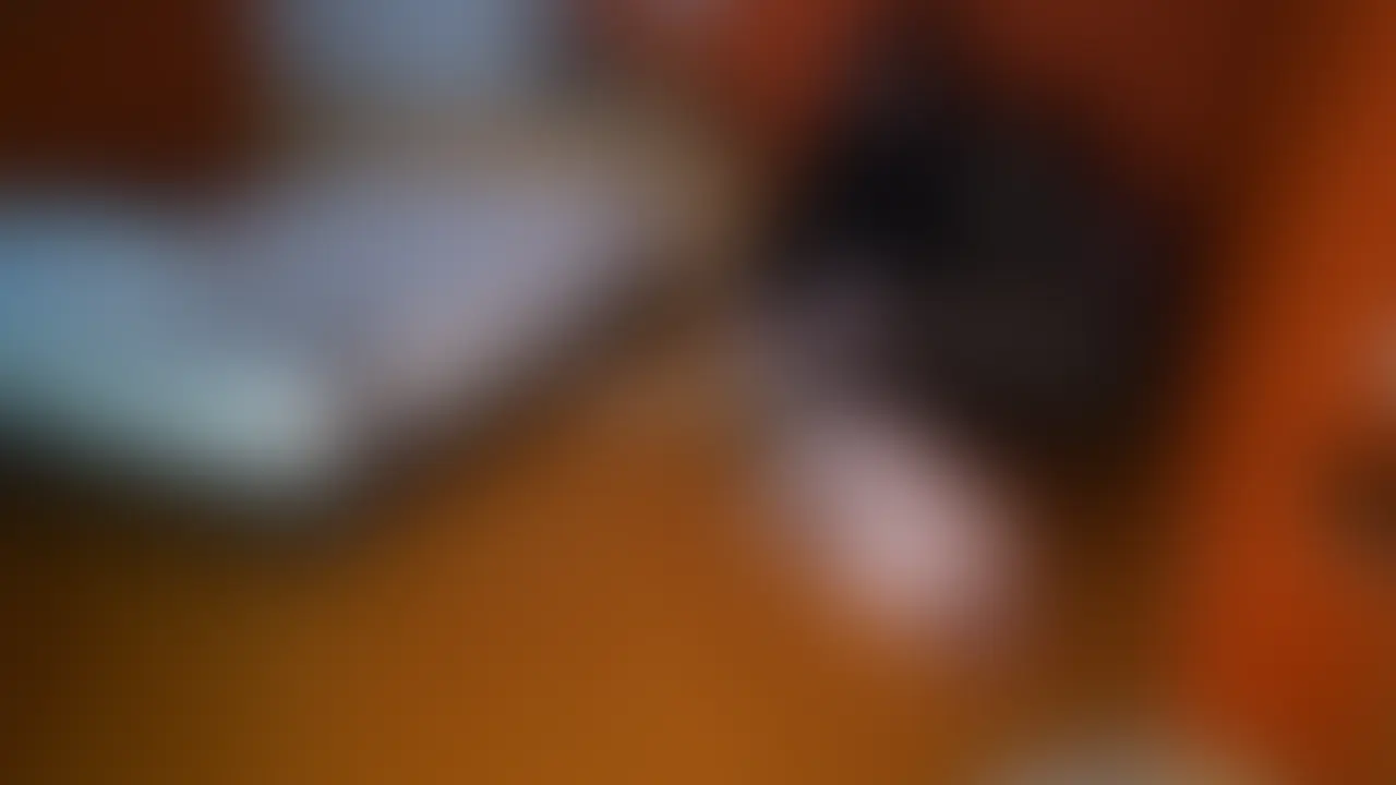 ・土下座させていただいてました.
お部屋で
すぐ裸になって
首輪を付けていただいて
ペットとして使っていただけるまえに、
土下座して
お足元で待機させていただいてました
ご主人さまが
何かされているときも
ご許可をもらえないと
頭を上げることはできないので
はずかしくても、
ちゃんとご命令に従えるように
がんばりました
こんかいは、
・裸で土下座しているところ
・リードで扱っていただいているところ
・言いなりになっているところ
を、撮っていただいてます
ご主人さまの前で
ちゃんと従っているゆいを
おたのしみください..
定点×3
#SM#M女#マゾ#S男#ドM#調教#人間家具
#変態#BDSM#土下座#奴隷#肉便器#放置#いいなり (2/2)
