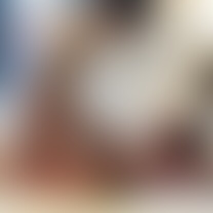 とらに手錠目隠しギャグボールを装着🐅 sample 1
