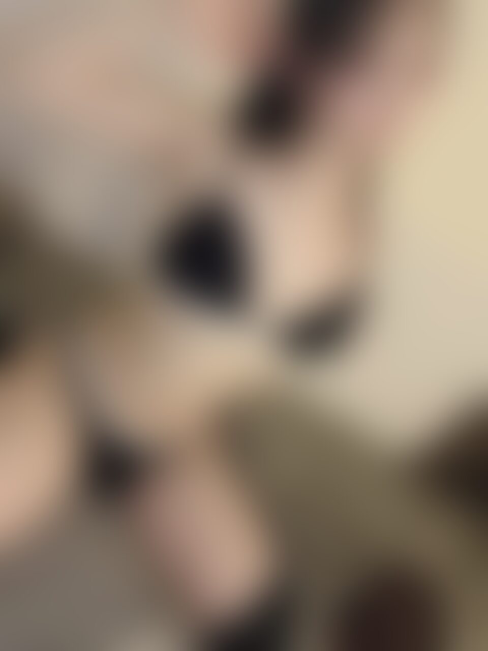 カルバンクラインの下着を着けて動画を撮ってたら、テンション上がっておなにーしちゃった(⑉･ ･⑉)

そろそろハ〇撮りしたくなって来たから、何か企画やろうかな💖💖 (2/2)