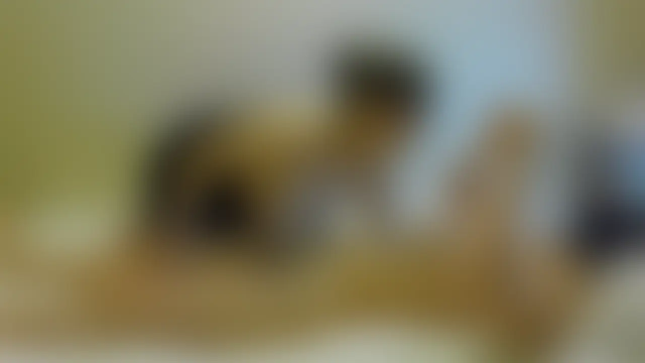 しおりちゃんパイズリ撮影会1~7発目(未使用アングルまとめ)
肉食系Jカップしおりちゃんのパイズリ
▼しおりちゃん作品はこちら
【NTRパイズリvol.8.5】Jカップしおりちゃんが彼氏にナイショでNTRパイズリ撮影会4発♡
https://myfans.jp/posts/0d49045a-ae7c-46cc-aba5-e9b26f544de0
彼氏に内緒で小柄細身Jカップしおりちゃんをハメ撮りしたら凄すぎて2回戦しちゃった…
https://myfans.jp/posts/179d55c2-60d3-42ef-abf3-080ad74ddc2a
【NTRパイズリvol.8】肉食系細身小柄Jカップ彼女と早漏彼氏が出演。血管浮き出るおっぱいでパイズリ・手コキ4発!
https://myfans.jp/posts/b6e42aab-6277-48a1-8ad5-6a849603ea61 (2/2)