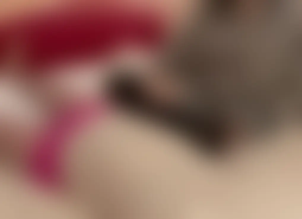 ドSキャバ嬢みぃ〜ちゃんの魅惑の乳首責め手コキ(10分36秒)
実はみぃ〜は、乳首責めが大の得意だったりします。ちょっと乳首を触ってあげると服の上からでも大抵の男は乳首を立ててアンアン言っちゃいます。この男も例外ではなく乳首を責めてあげると乳首がビンビンになってパンツまでもっこりしてきちゃいます。ちょっと手コキをしてあげるともう射精寸前。最後はスッキリさせてあげました。 (2/2)