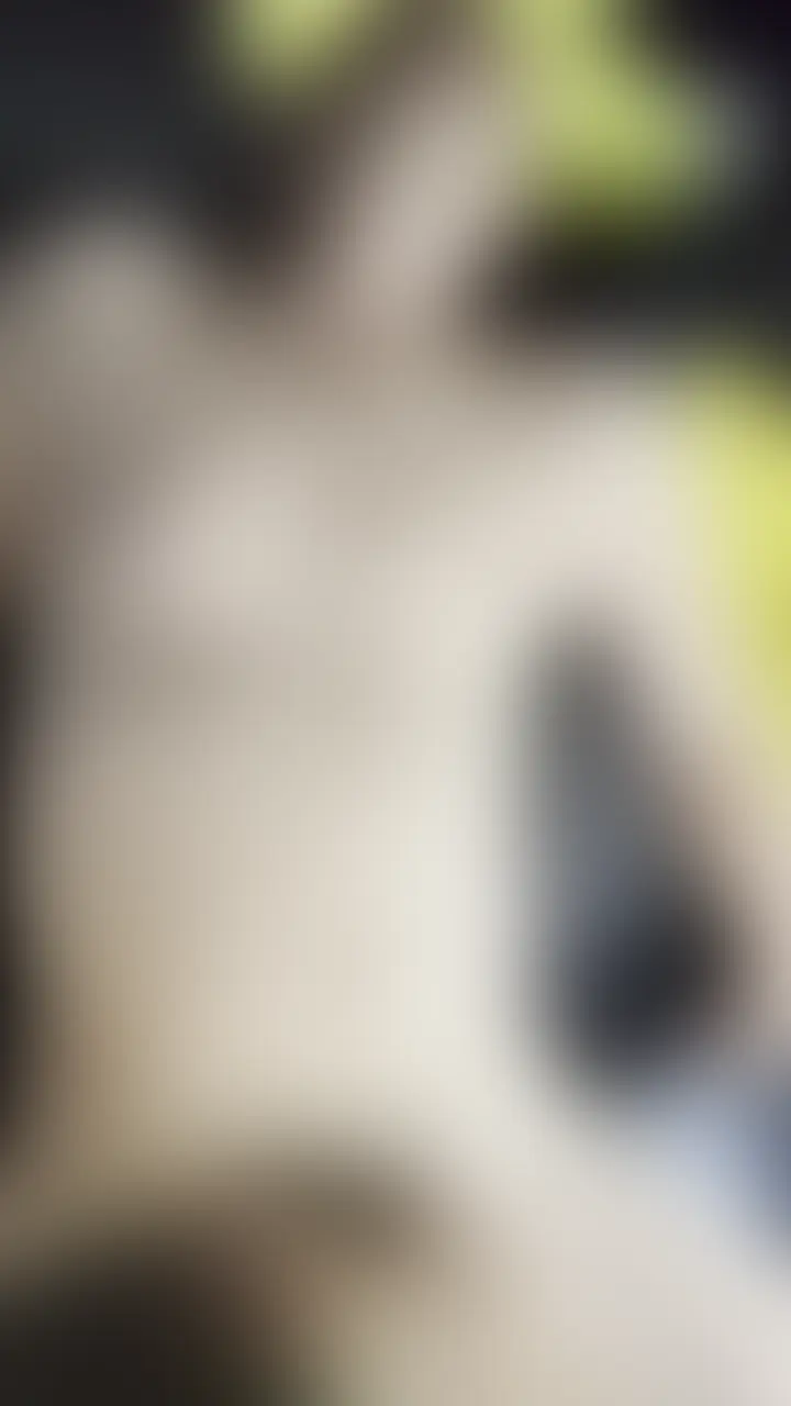 犯されるノンケ sample 1
