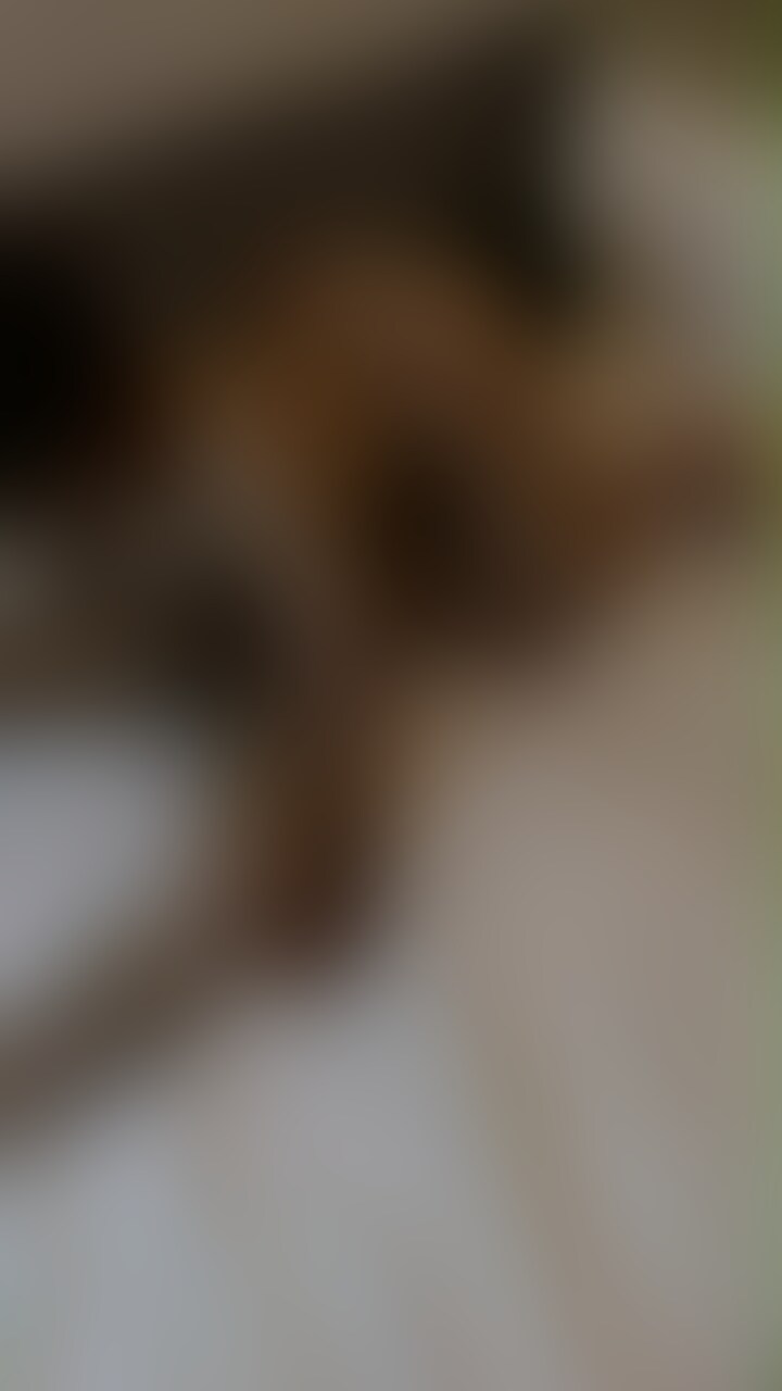 後編です。妻と単独様との3P動画です。 (2/2)