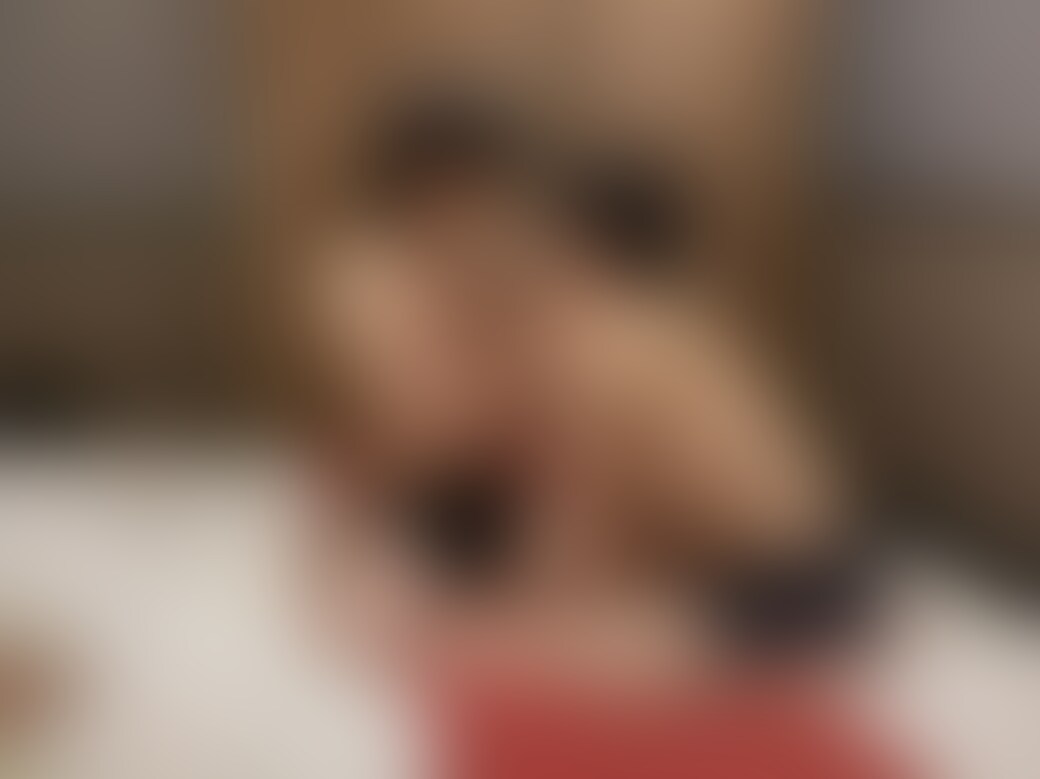 彼氏とセックスした動画です！ sample 1