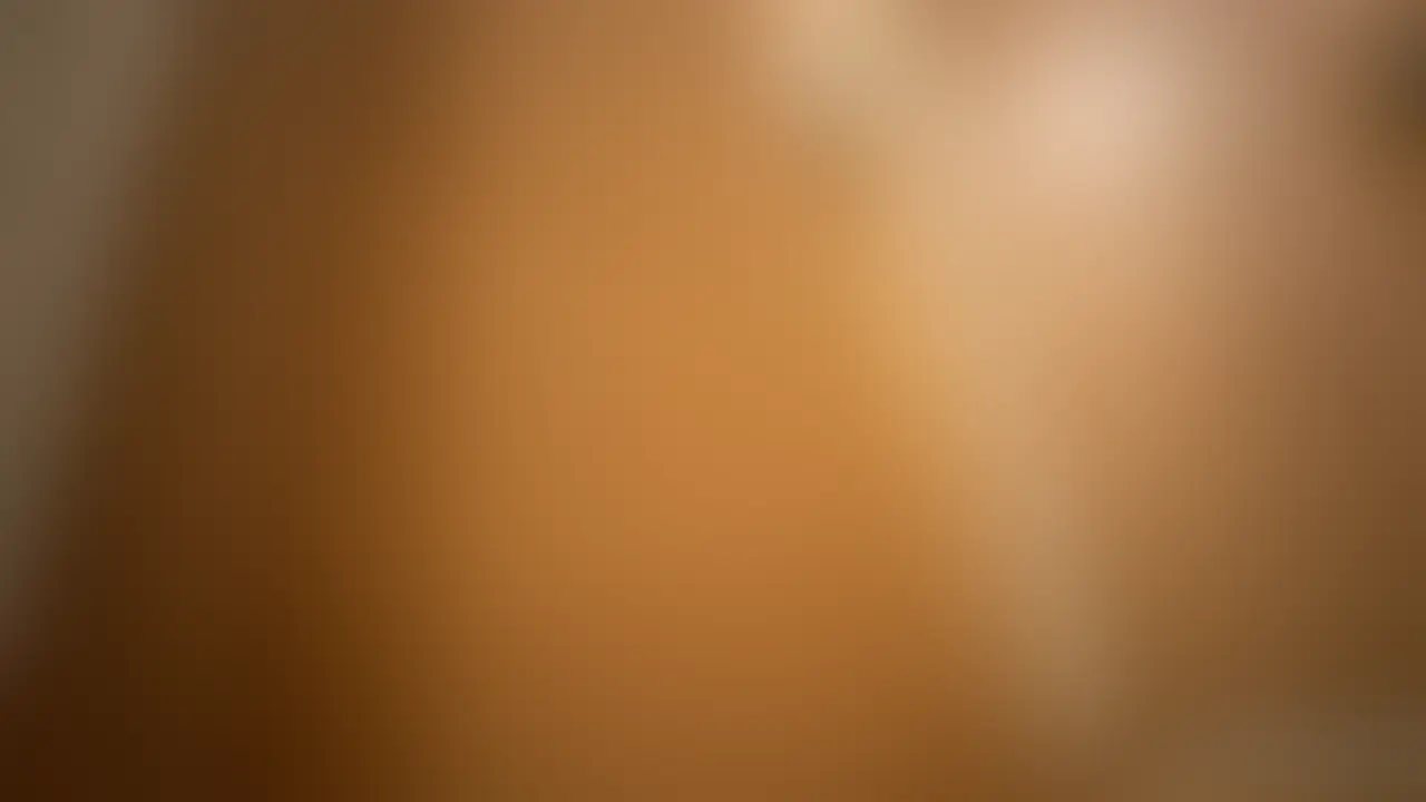 こちらは11/30にリリースする
【真面目っ子ちゃん覚醒！超美乳Eカップ！彼氏を裏切り朝までお泊りHやりまくり】
のお試しダイジェスト版です

11/30のリリース日までお楽しみにしてください


タグ
NTR　パンチラ　素人　個人撮影　学生風　パパ活　手コキ
下着　フェラ　エロ　スレンダー　美女　おっぱい　生ハメ
美乳　ハメ撮り　射精　中出し　顔出し (2/2)