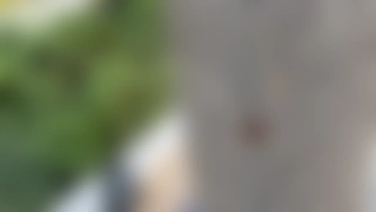 ちんぽじさん提供
<奥様情報>
年齢:31歳
趣味:切手集め
職業:郵便局員 (2/2)