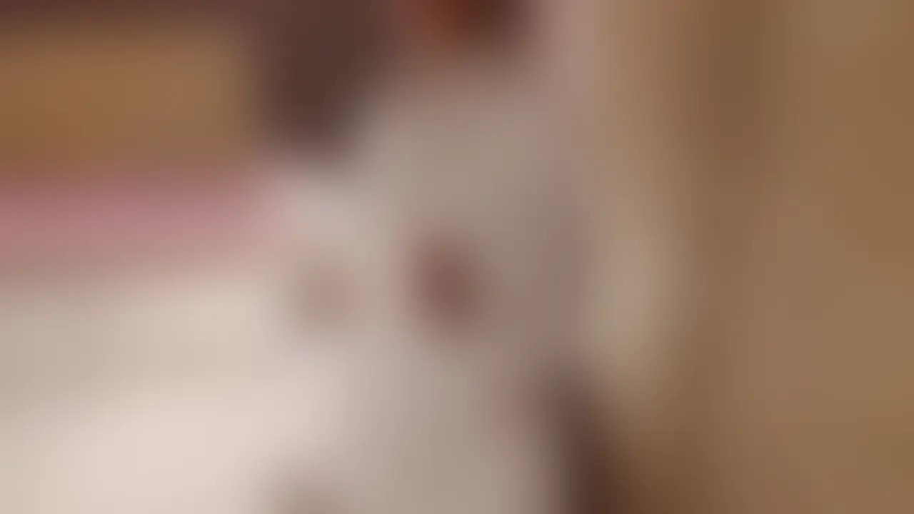 【前戯のみver.】軟体人妻のお股ガン開きセックス♡
フルver.の内容🌟👉1回戦目/軟体I字バランス/乳首舐め/手マン/キス/生ハメ正常位/中イキ4回
無料サンプルはこちら💖
https://jp.pornhub.com/view_video.php?viewkey=682e308724608
フルver.はこちら💖
https://myfans.jp/posts/a56ef912-3f70-4c1f-9ae9-0494158a8b1d
主観&顔モザうすめver.はこちら💖
https://myfans.jp/posts/3ae9e784-a123-4b00-84dc-9c105f6cad7f
旦那が久々にI字バランスを見たいと言うので披露したら、ご満悦な表情でずっと「エロい!」って喜んでました😽
手マンするとおまんこがキュッてなるらしい、恥ずかしい〜(((*´Д`*)))💓
「エロすぎ」って言いながら数分で果てる旦那🙊ぷぷ
実はこの日、あと2回エッチしました(*´꒳`*)
楽しみにしててください♡
✼••┈┈┈┈┈••✼••┈┈┈┈••✼••┈┈┈┈┈••✼
人気動画のサンプル・本編リンクはこちら💖
https://myfans.jp/posts/c514c4a4-4d38-4952-852a-898d1b568c98
#いちゃいちゃ #イチャイチャ #むちむち #ムチムチ #グラマラス #デカ尻 #お尻 #おしり #美女 #美人 #綺麗系 #かわいい #巨乳 #美乳 #Gカップ #乳首 #人妻 #新妻 #新婚夫婦 #カップル #素人 #個人撮影 #20代 #欲求不満 #淫乱 #巨根 (2/2)