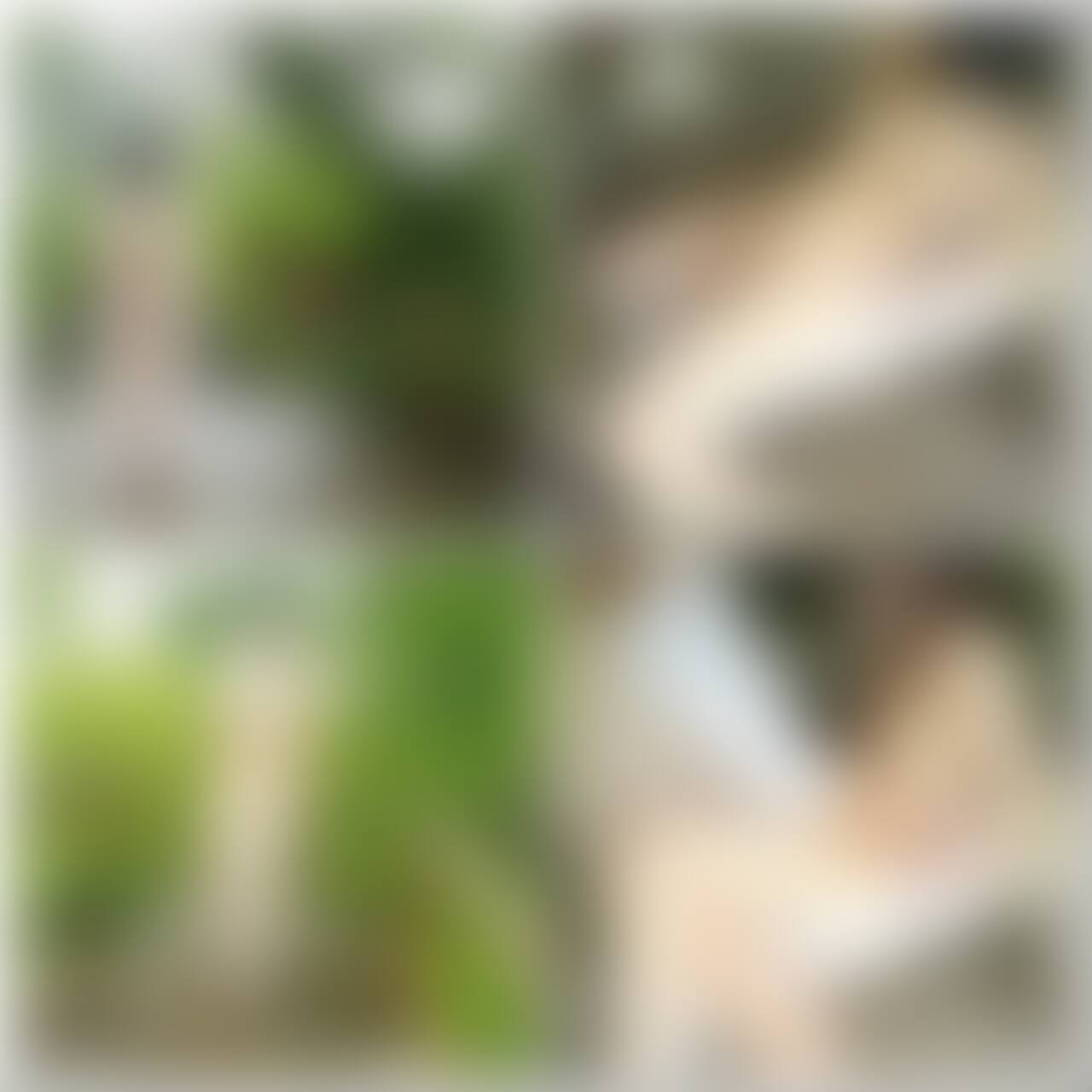 第11弾 17分19秒
雨の昼間の公園を羽織だけで露出して
公園の奥に着いたら全裸で中出しえっちして帰りは全裸露出(*´ω`*)やっぱり外でするえっちは濡れるし気持ち良い… (2/2)