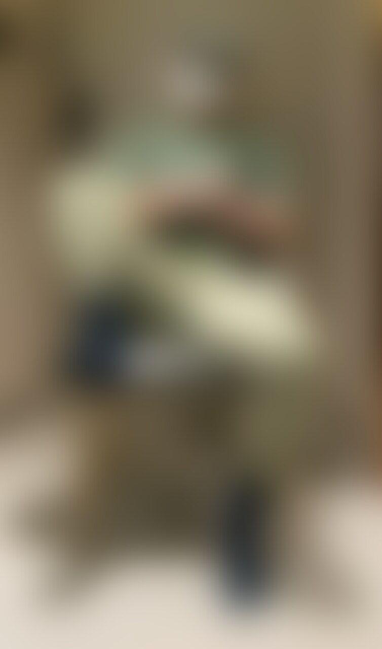 軍人も欲がある sample 1