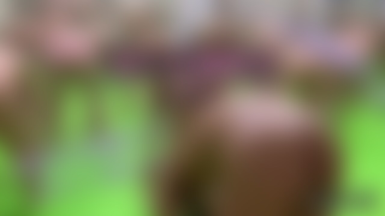 運動会動画第二弾 sample 1