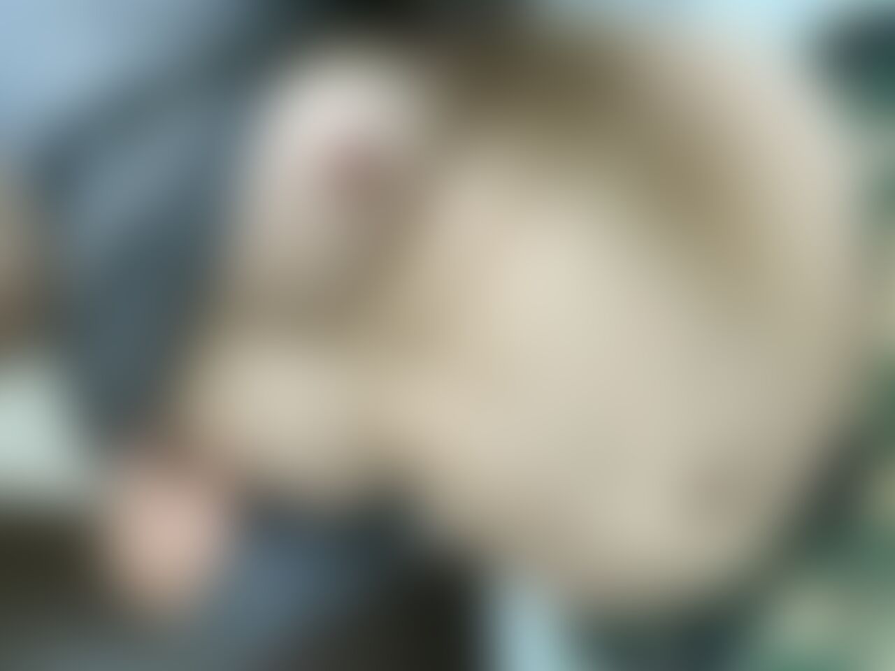 起きたら腰が痛い⚡️ sample 1
