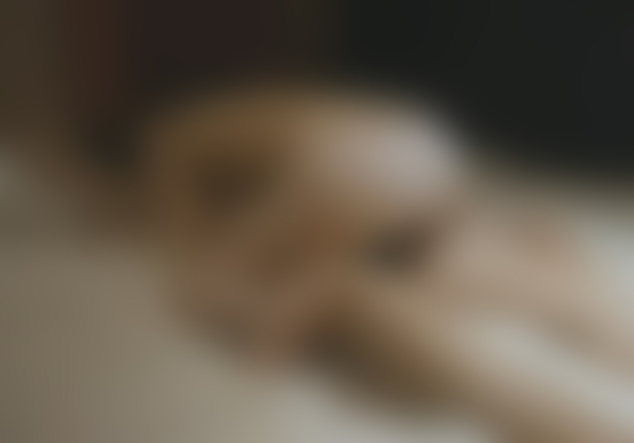 #064【美人女医】大学病院の女医さんとした時の動画④【43分】
女医さんからご奉仕されるシーンです。
そのあとお返しにクンニをたくさんしてあげて、挿入まで。
大学病院に勤めてる女医さんから「最近性欲やばいのでたくさんしてください」って依頼がきたので好きなだけ焦らしてあげた時の動画。 (2/2)