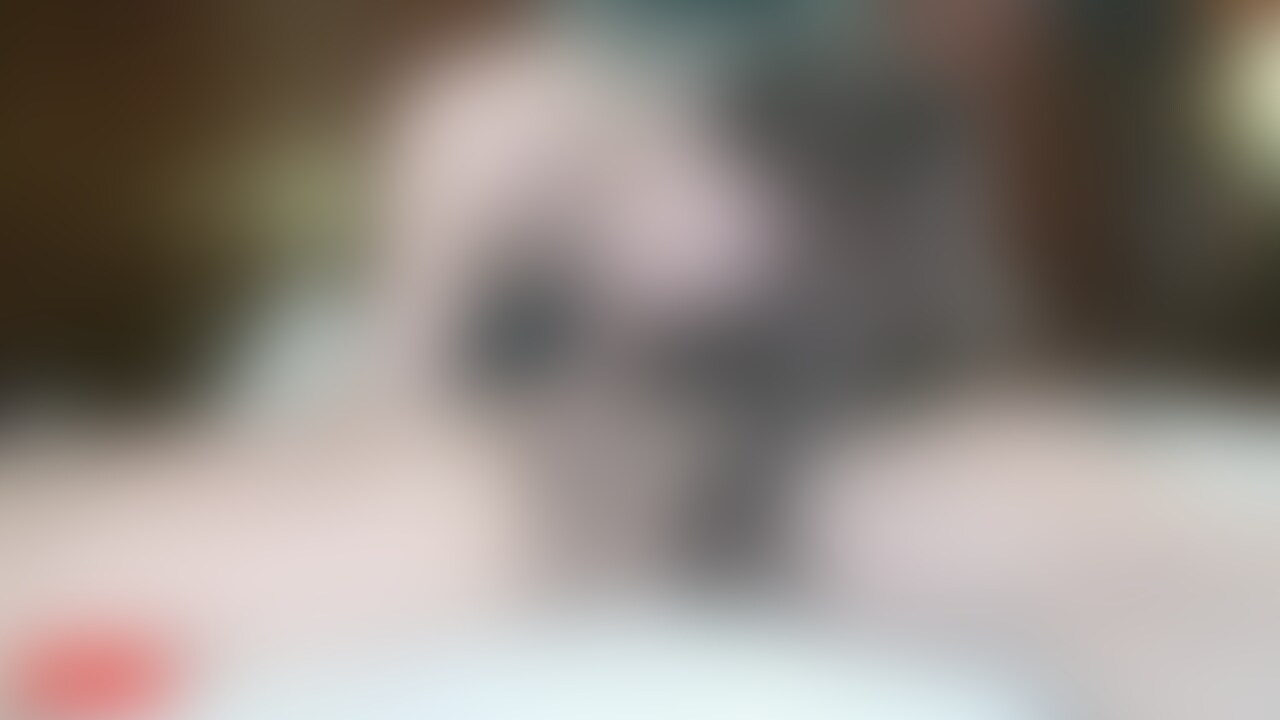 【食事】
両手で肉ビラを掻き分けて
剥き出しになったクリチンポを下品に貪り食う (2/2)
