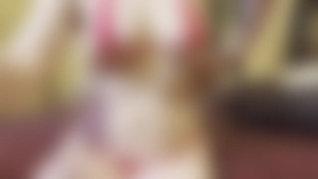 【道具使ってしちゃった】見る前に「いいね♡」押してくれると嬉しい🥹このプランに入ってる人には優先的にDM返してるから 感想教えてね💕(ゆいとも沢山お話しできるよ!)少し恥ずかしいけど、道具使ってしちゃった❤️ ゆいの動画で沢山癒されて、気持ちよくなってほしいな💕 (2/2)