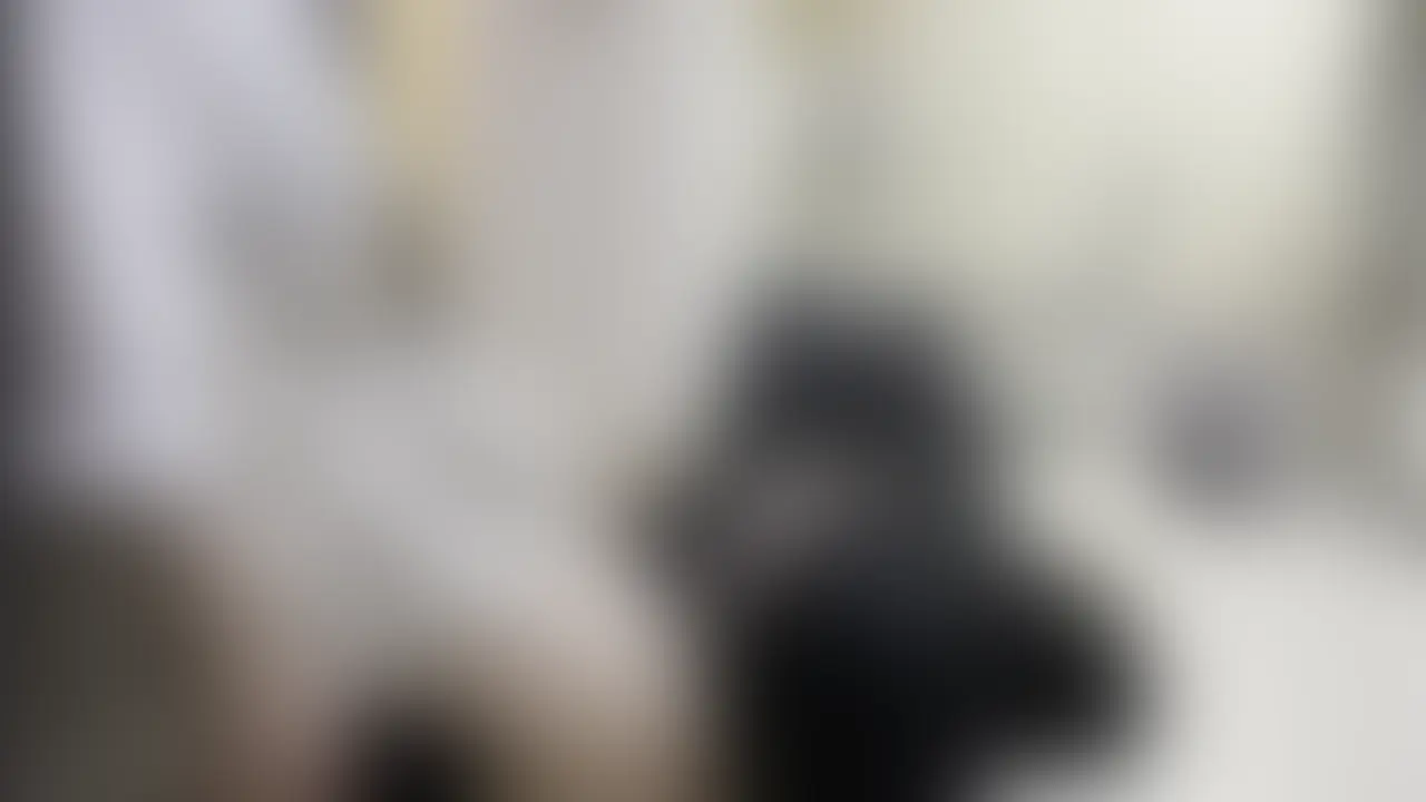 顔面騎乗とおぱい責め (2/2)