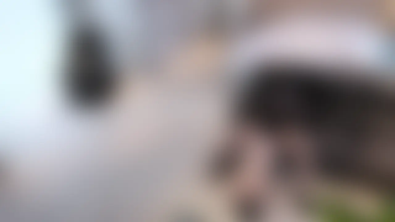 ☆長時間フェラ
ご主人さまがお休みになっているあいだも
ご奉仕させていただいてます
お食事やテレビみてるあいだも
ちゃんとご奉仕させていただきます
もっとみなさまに尽くせるようにがんばります
#SM#M女#ドM#マゾ#変態
#S男#フェラ#イラマ#土下座#イラマチオ (2/2)