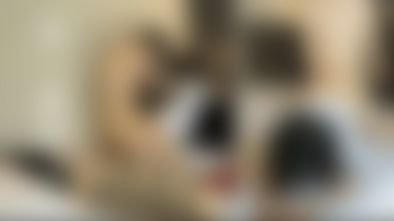 21分連続突き【体操着M女を高◯教師が多種バック❤︎】 (2/2)