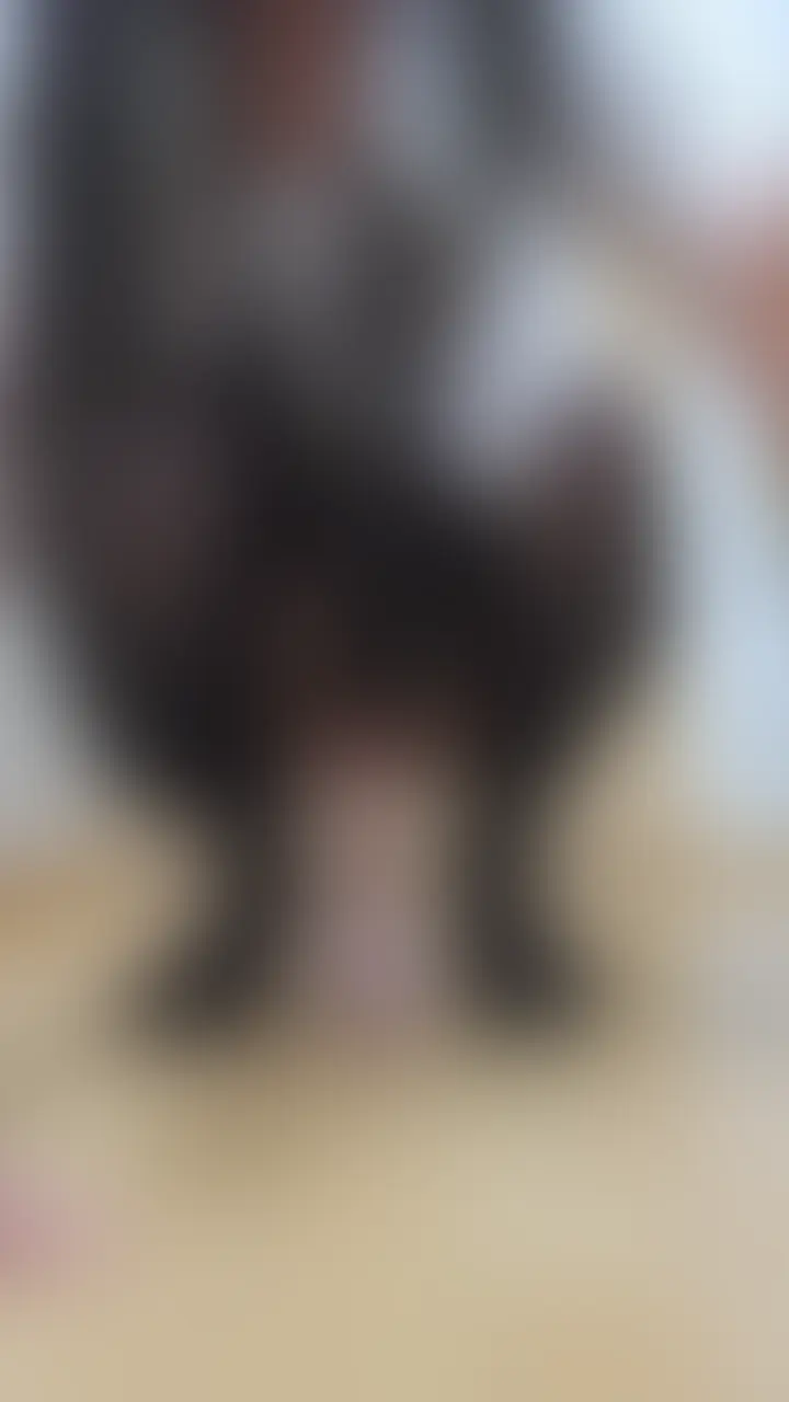 ウィッグだけ被ったすっぴんです💦💦
あんまりかわいくないけど見てください❤ (2/2)