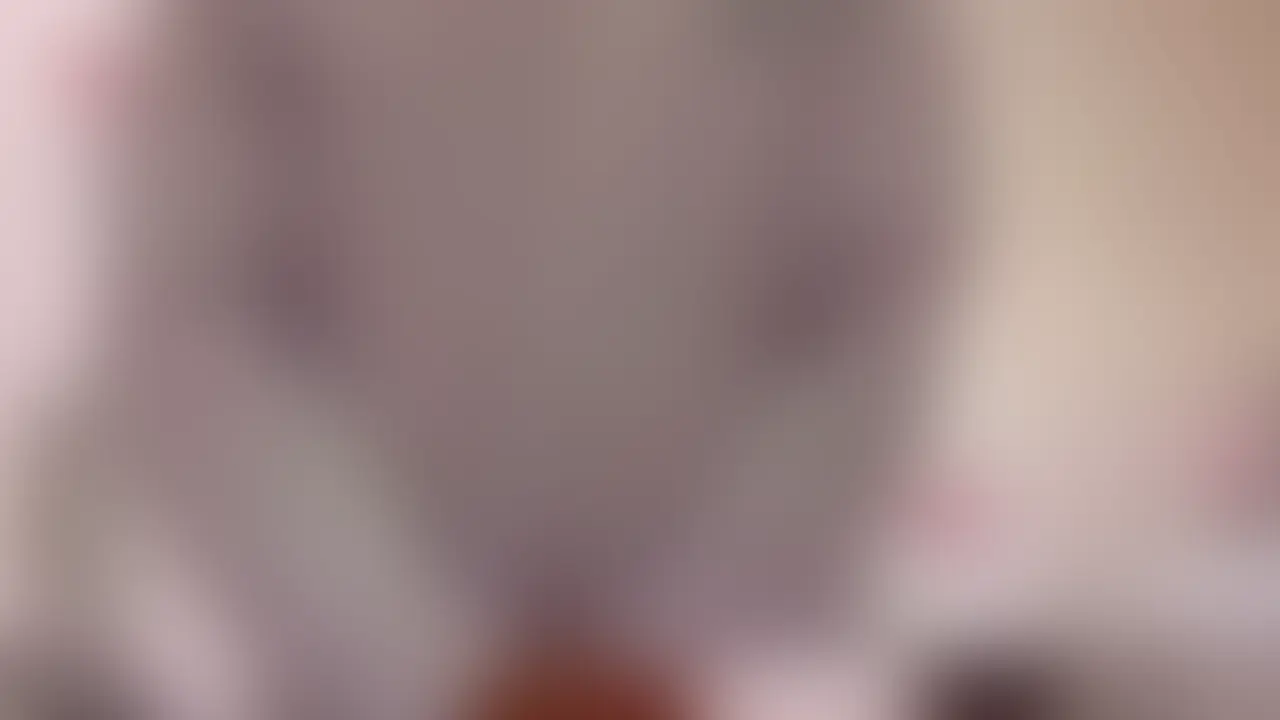 ※大学名が分かってしまう為上着にはモザイクを付けています。ご了承ください。 sample 1