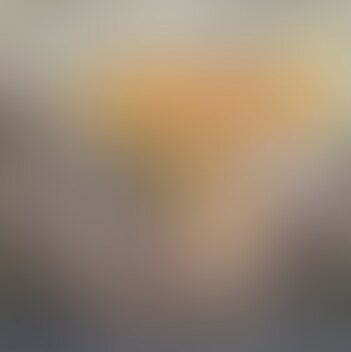 とらのアナルにバイブぶち込んで放置🐯 sample 1