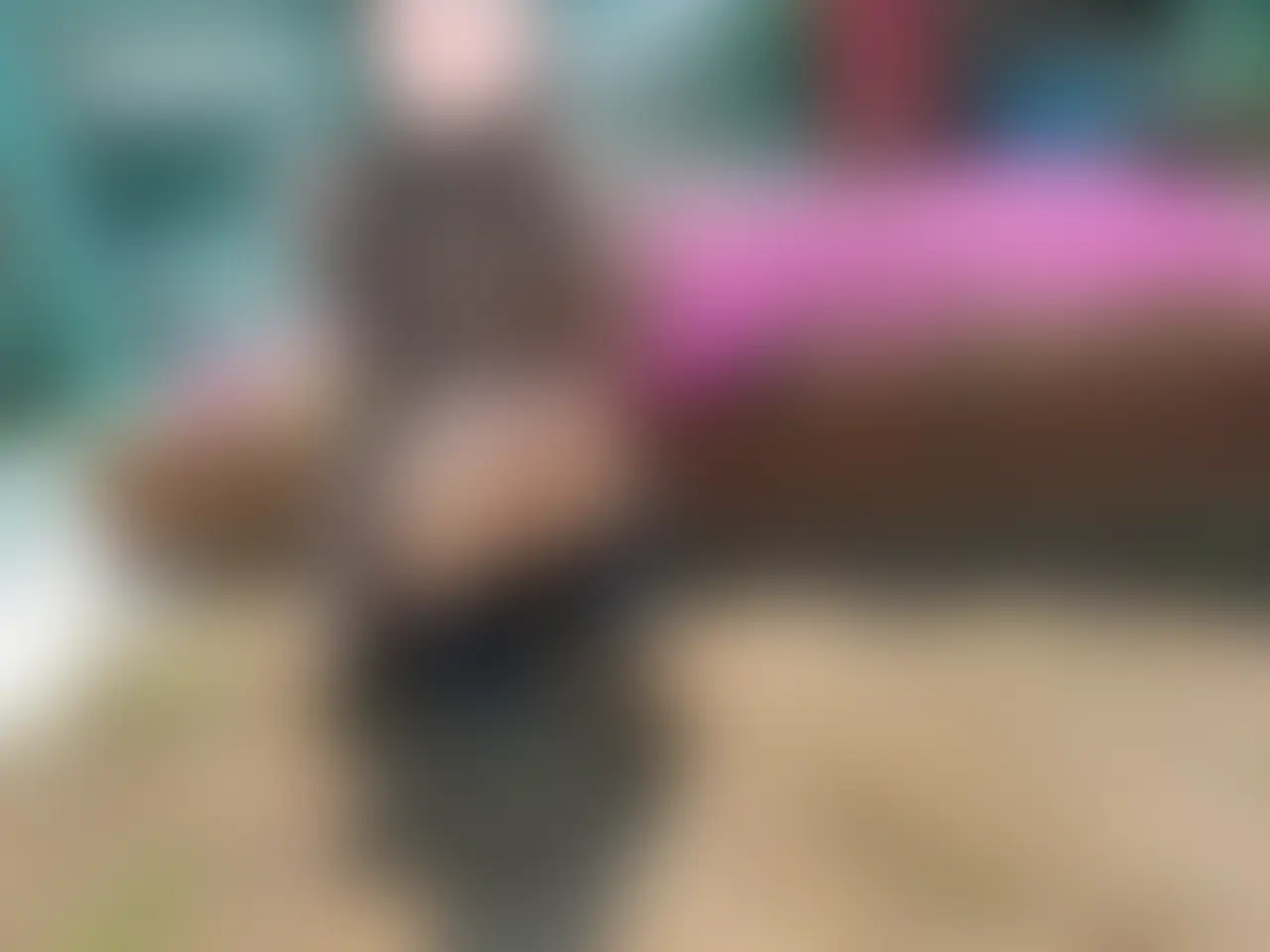 もみじ「お外の無料写真集⸜🌻⸝‍」の投稿サムネイル