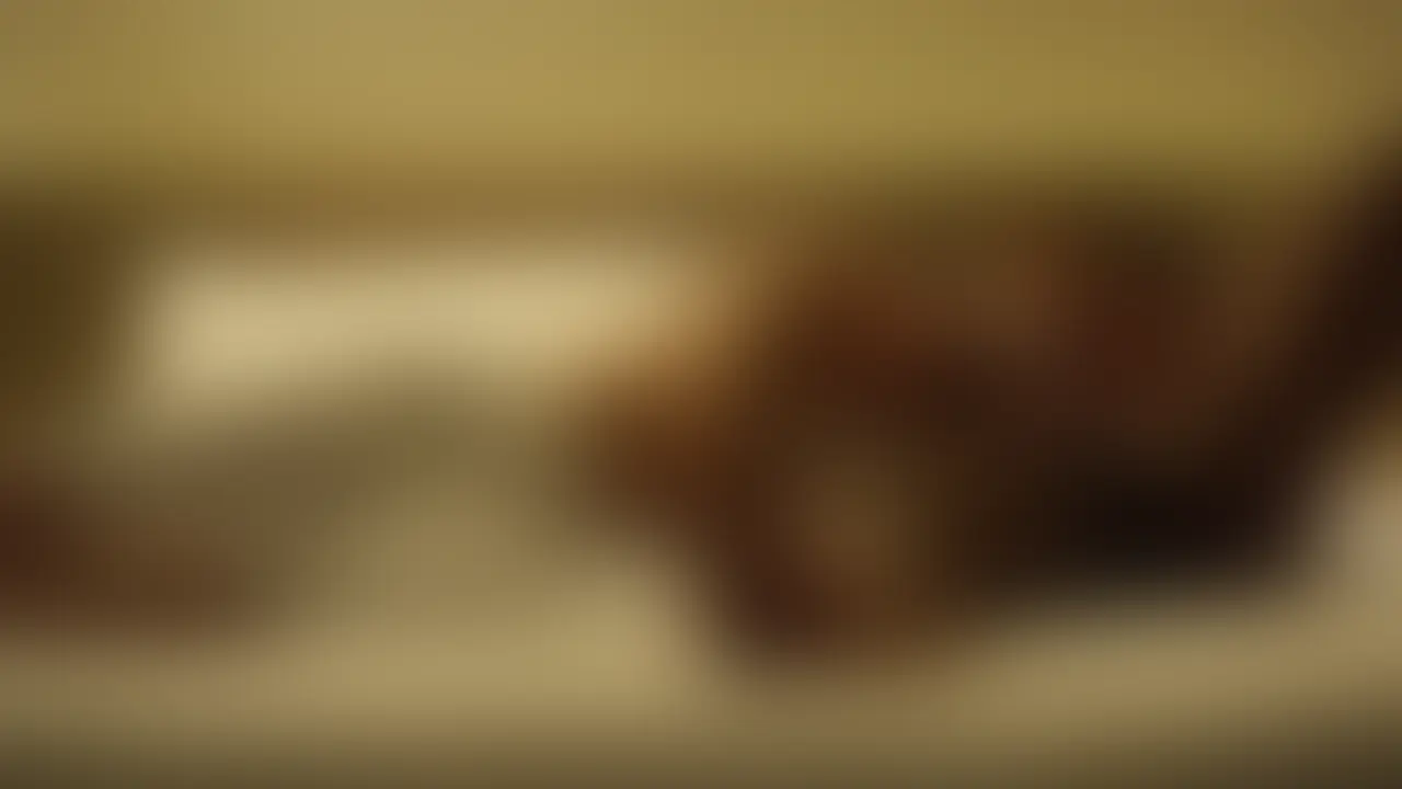 ★全動画プラン限定★ sample 1