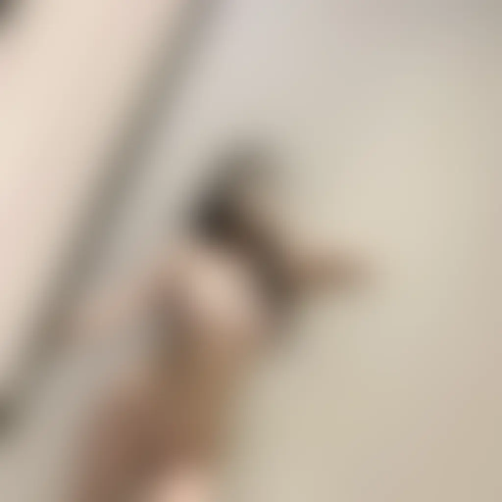 みかん🍊「♡」の投稿サムネイル