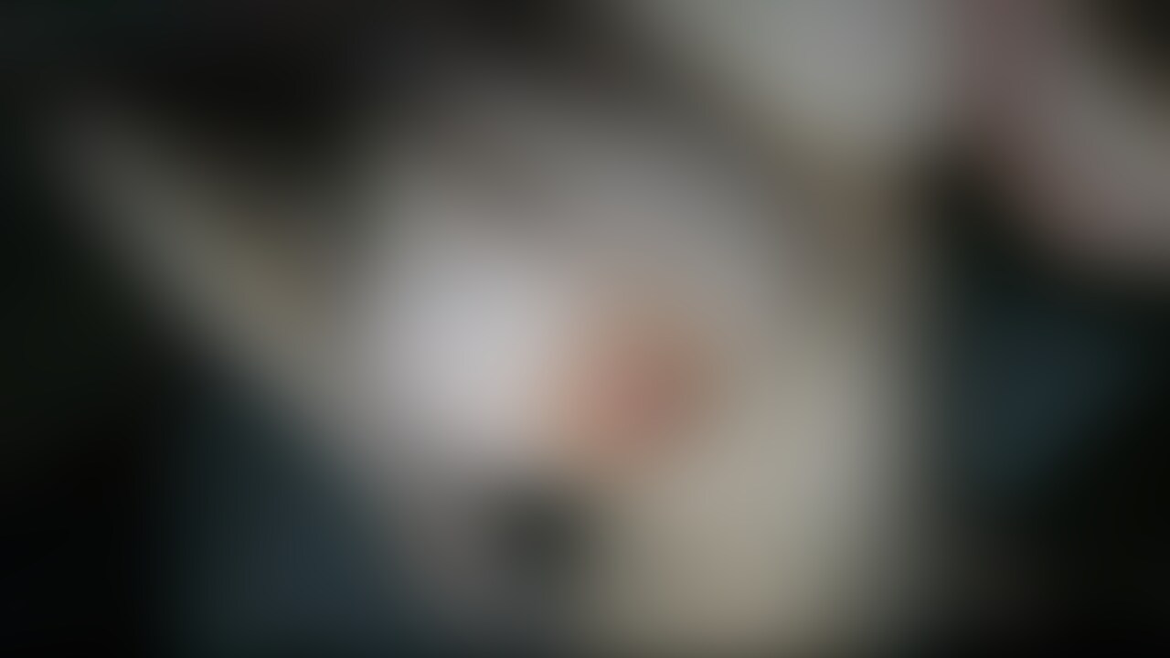○○○なりたて、○○○○○○Hカップ元地下アイドルNちゃんハメ撮りショートVer.
↓60分のフル動画
https://myfans.jp/posts/2e5daf4c-9520-46ab-95d7-47328545e4c8?utm_medium=referral&utm_source=share&utm_campaign=post_share (2/2)