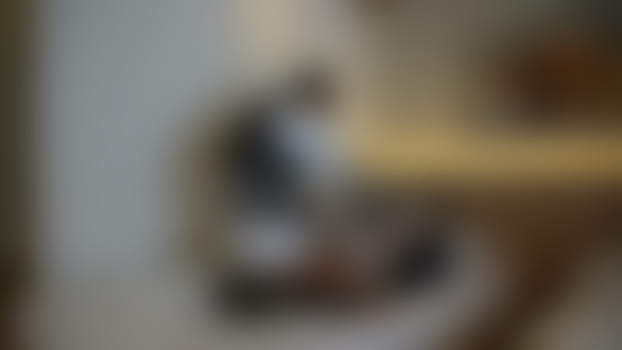 □応援プラン・ゴールドメンバー限定□ sample 1