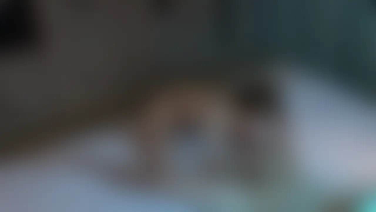 【VIP限定】スレンダー美女との密会　ここでしかみれないVIP限定動画です。 (2/2)