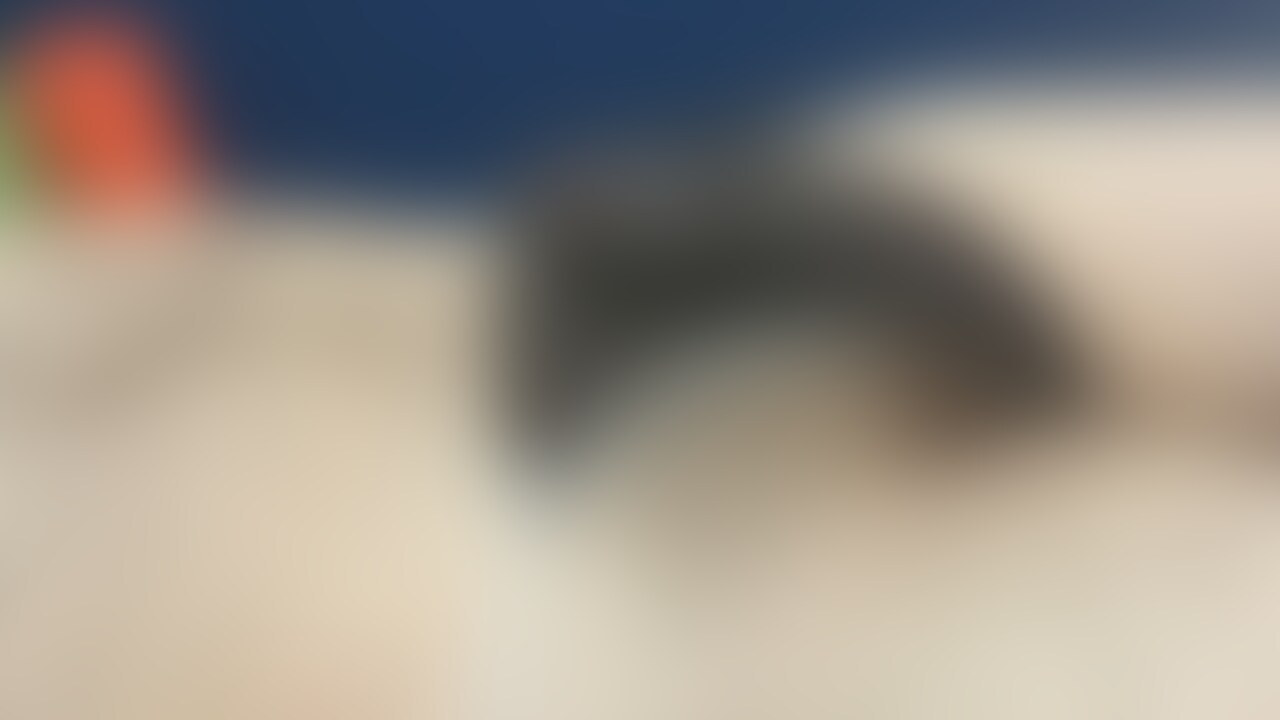 無題の投稿 sample 3