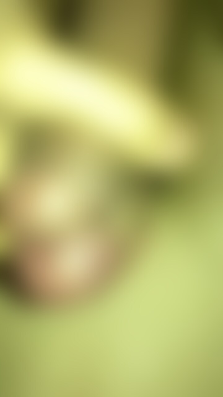 halu君とのハメ撮り載せます🍀*゜ sample 1