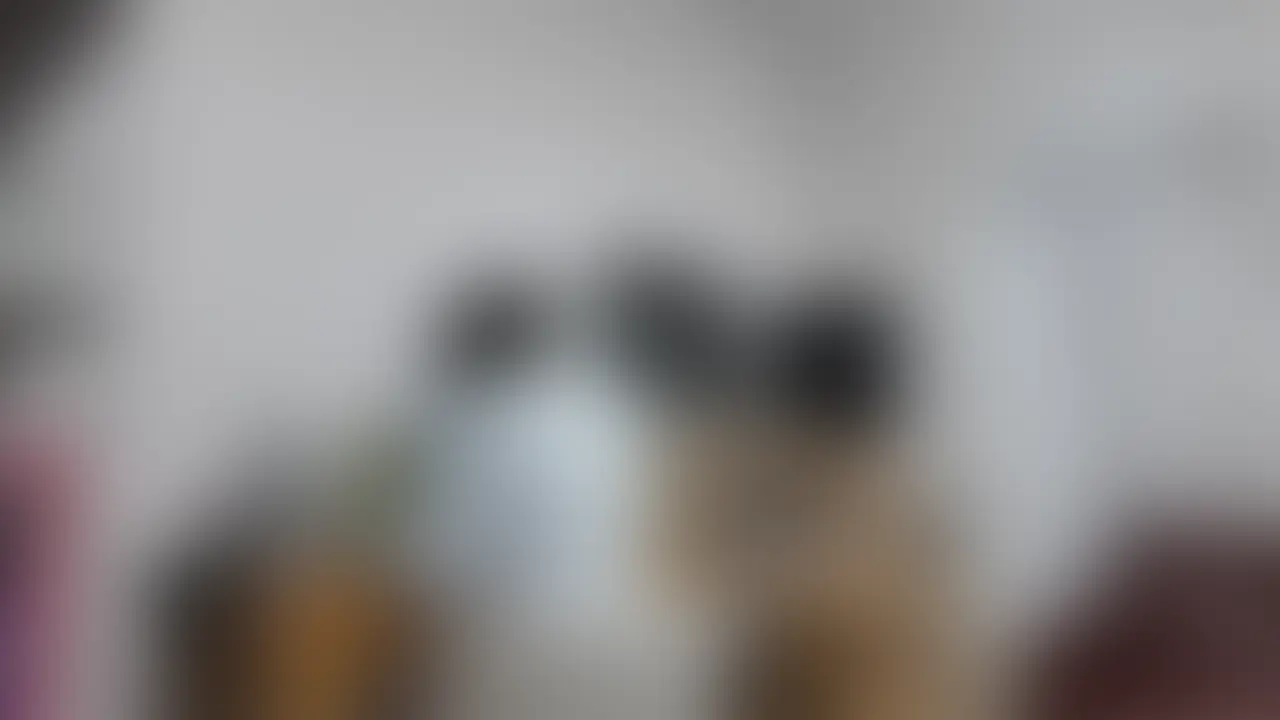 いよいよ配達の方にエロコスを見てもらいました。
かなり見えてる衣装に愛ちゃんは恥ずかしがってましたが
かなり体は見られて敏感になってました。 (2/2)
