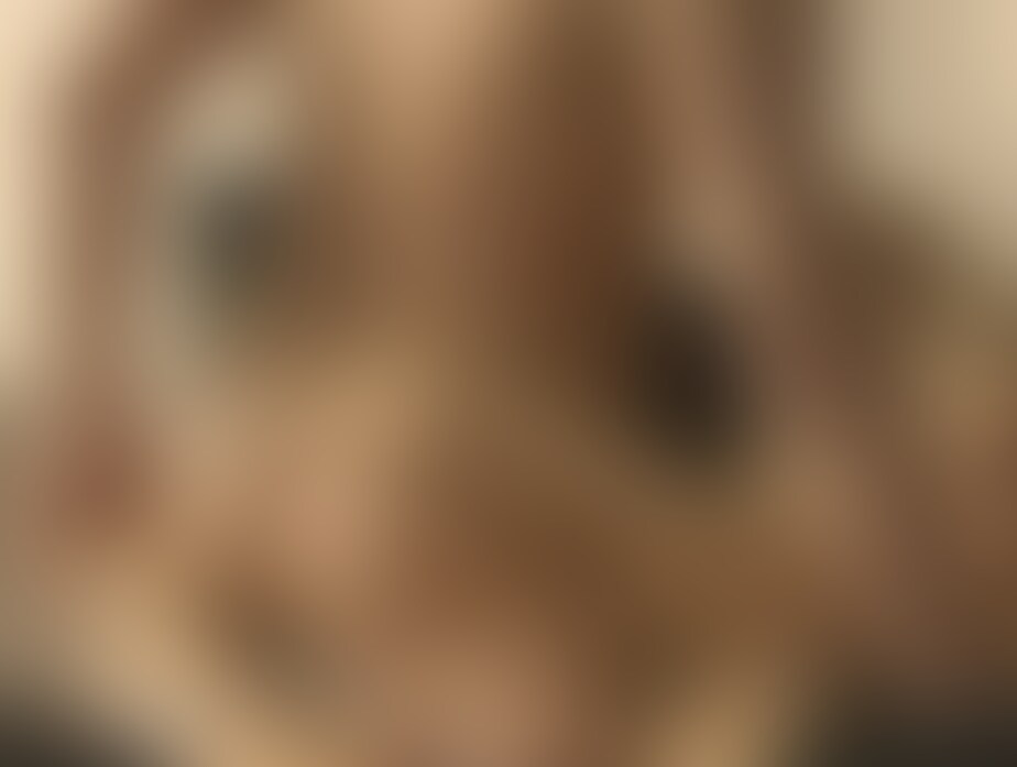 💎PlatinumGoldプラン完全版💎 sample 1