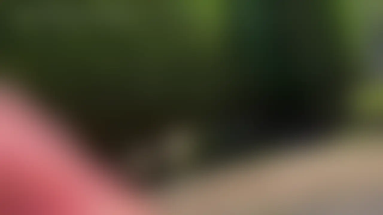 サンプル動画（０円プラン）
https://myfans.jp/posts/75f3c3e5-c295-4137-8be3-b7179f6dbf42

サンプル画像
https://myfans.jp/posts/729e6843-0ff2-4f38-b23c-b6baecdc1ced

車で休憩中、若い二人の女性が通りすぎたので気になって追跡
^^;;
ベンチで休んでいた二人に少し話しかけたのち、暑すぎてまた車に戻ると二人が近くを通り過ぎようとしたので、ピチピチパンツの上からオナニーを見せつけると・・ (2/2)