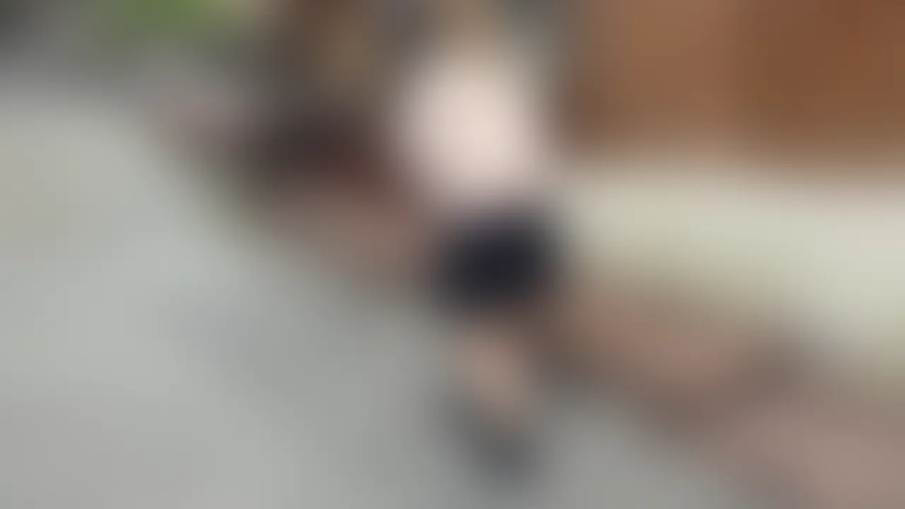 温泉デートで全裸満喫♡ 露天風呂の開放感人妻
みなさんこんにちは❣️今回は温泉街デートに行ってきました🥰
温泉街をぶらぶら歩いて、神社でお参りしたり、温泉クリームソーダを飲んだりして、笑顔になっちゃいました😋
その後は、露天風呂でタオルなしの全裸で入浴🫣💦『めっちゃ気持ちいい!』って言いながらお湯に浸かって、開放感にドキドキ。人妻なのにこんな大胆な姿、ちょっと恥ずかしいけど楽しかったです。
私の自然な姿、温泉街のワクワクと露天風呂の雰囲気、ぜひ見て楽しんでほしいです♡
皆さんにお願いがあります🙇♀️プラン加入、動画購入以外にもいいね、ブックマークをしてくださると大変応援になります(マイファンズのシステム的にです💦)!良かったよ、という方は是非押してもらえると嬉しいです☺️ (2/2)