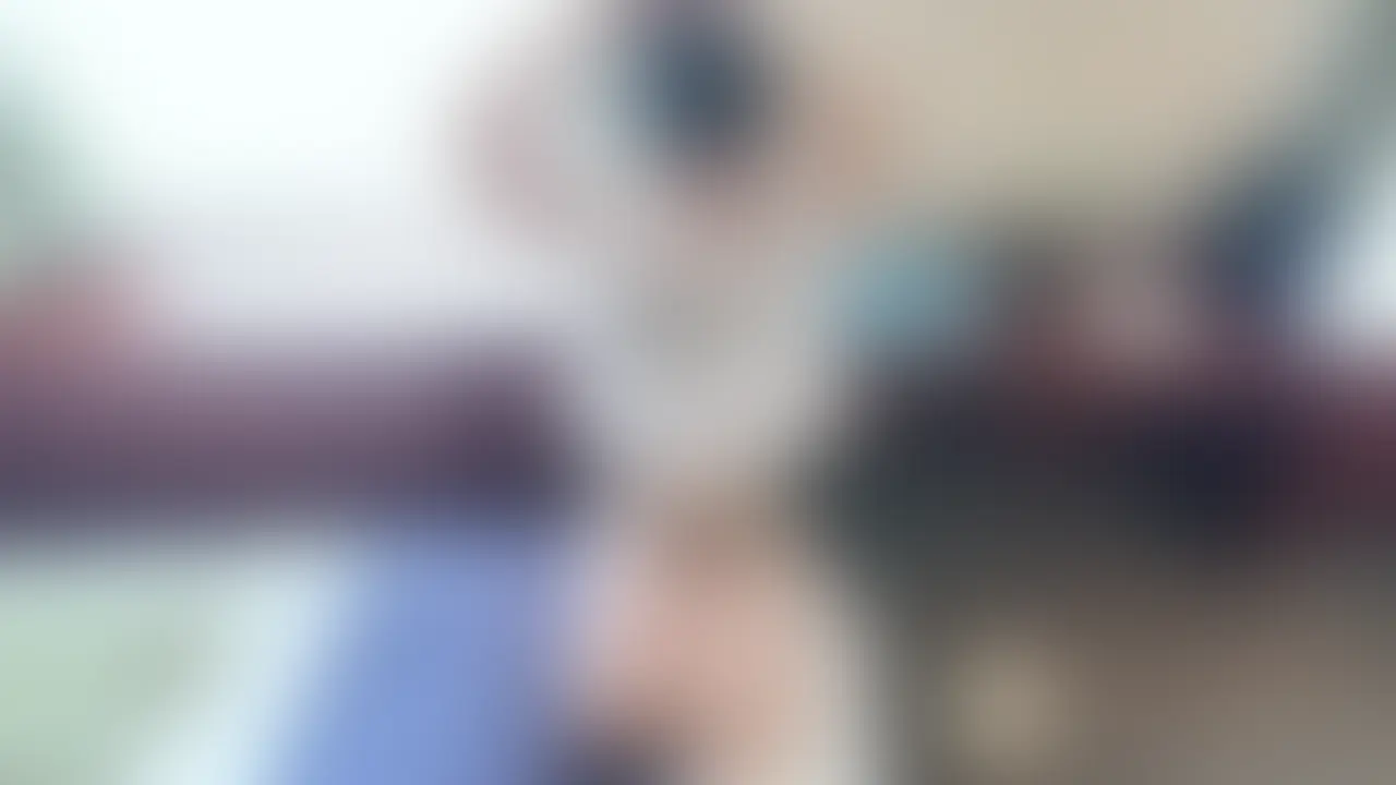 【関西弁Gカップ】「イクって言ってもイカせてくれない…」生意気な関西弁JDちゃん上京3日後にはじめてのハメ潮痙攣SEX🐳
※身バレ次第予告なく削除します。

--詳細--
「大学で東京きたはいいものの1人じゃ寂しくて」と可愛い関西弁で話す彼女。サークルや部活にも入らず学校と家の往復。一人暮らしで寂しさを感じていた時に裏垢男子アキハが女の子と楽しそうに事後飯を食べる動画を見たことがきっかけで応募してくれたとのこと。

最初は全然目も合わせてくれなかったものの、部屋に入って2人きりになってからはだんだんと心を開いて冗談も言ってくれるように笑、やっぱり関西弁は可愛いです☺️

関西弁はもちろん、笑った笑顔も可愛らしい彼女が脱ぐとまさかの超美乳Gカップ。抜群のスタイルに興奮を隠せぐ欲望のままに突いてきました、、イクイク言いながらハメ潮と痙攣も止まらなくなってる関西っ子ちゃんは最高すぎます、喘ぎだけで抜かないように注意してくださいね？ (2/2)