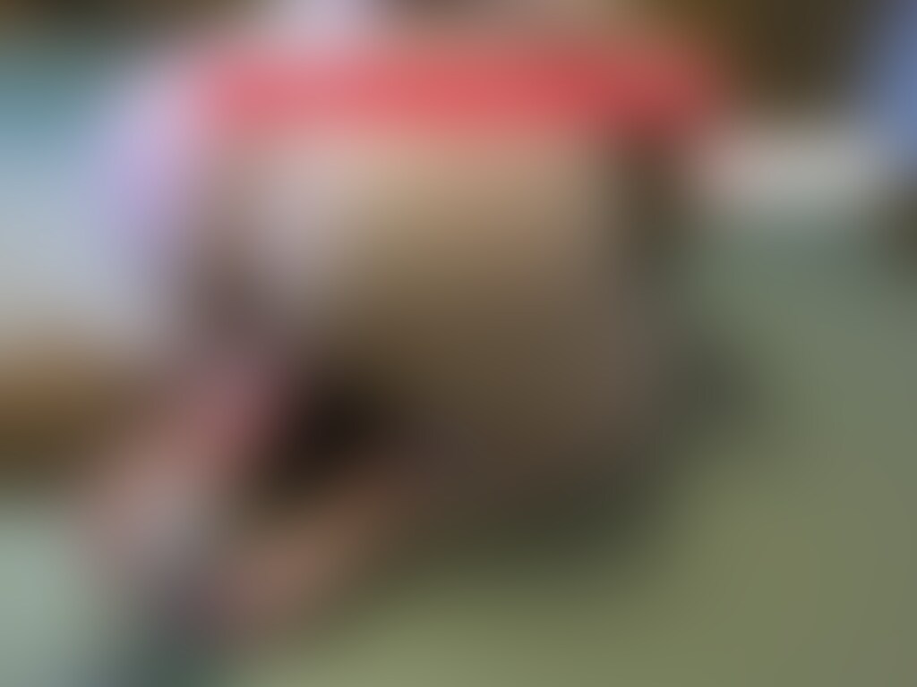 🎀ドM塾女マミー&アナル○○○
ドM塾女がラップマミーされたり電マとアナルステックでバックから責められされます。(11:47) (2/2)
