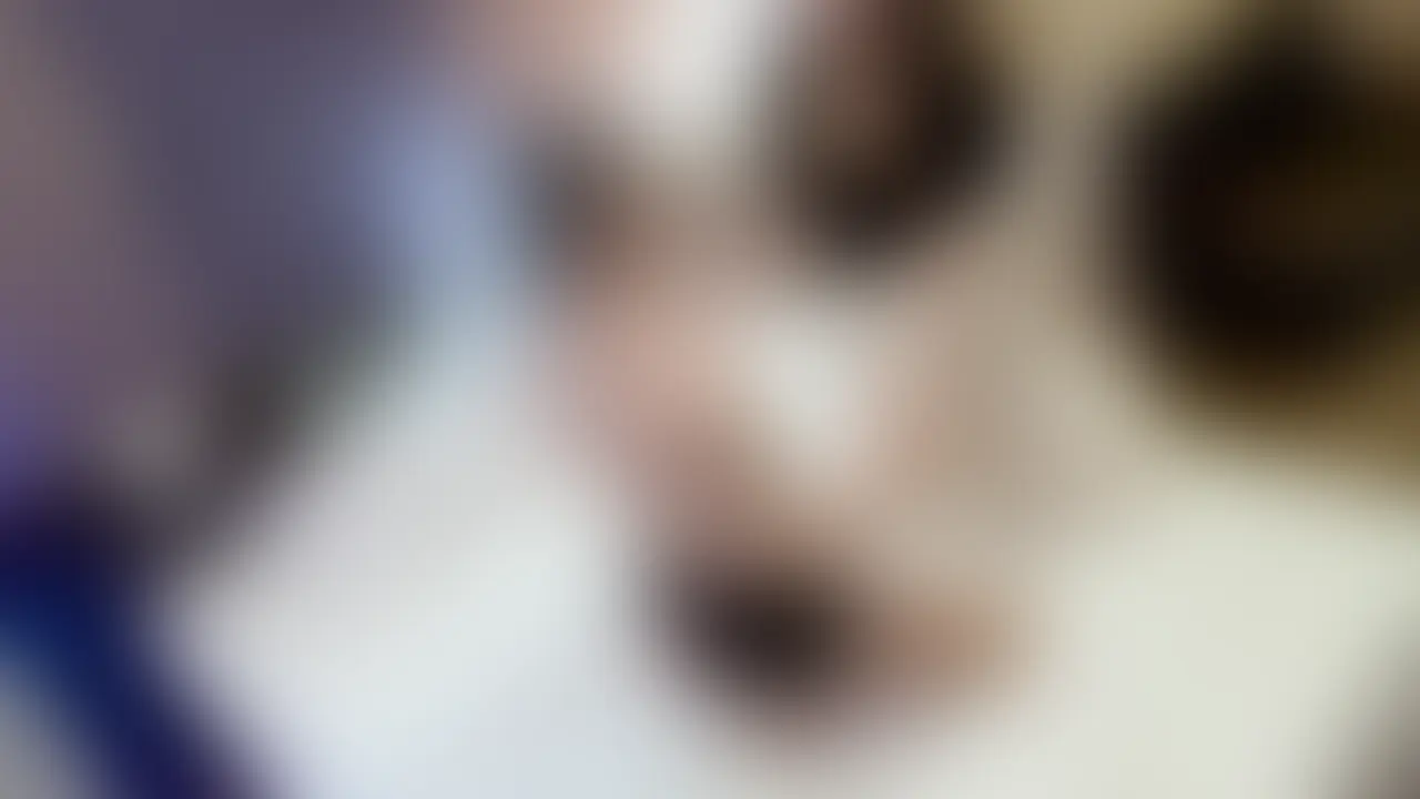 マゾメスすぎる💕ボッコボコにされてアクメ止まんない女子にクソ穴責め～ラブラブ種付け交尾💕 sample 1
