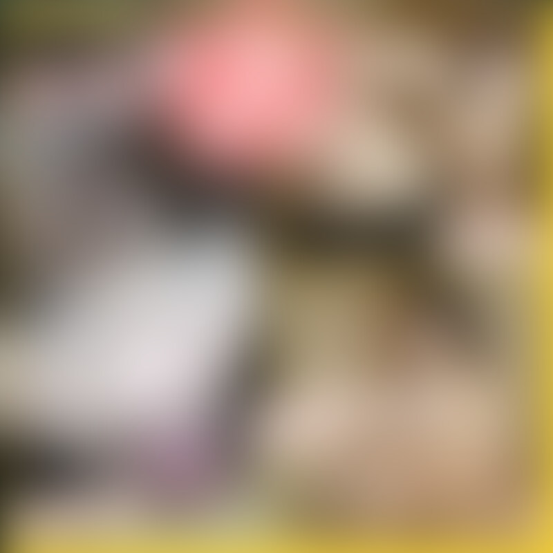 今回は私の家に来てくれたあやちゃんとの焦らしセックス作品です！

最初はいつも通りのローション寸止め手コキ。たくさん焦らされて寸止めされて我慢の限界に達したところで、あやちゃんに首輪をつけられる監督の二茶。
そこからの強○クンニにあやちゃんが悶絶。台本を無視して「挿れてぇ」と、甘えだすあゆちゃんにちんこをぶち込むと喘ぎまくって普通のセックスに。。。

その後は騎乗位で責め立てたあとに、○○○束してのさらなる寸止め手コキ。
○○○束テープで逃げられない監督を責めるあやちゃんがマジで痴女。。。

最後は大量射精したのに、手コキをやめないあやちゃん。マジで潮吹きそう。。。 (2/2)